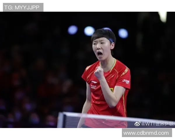 库伯特默乐与马胡特瓦塞林的精彩对决引发网球迷热议